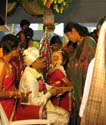 india-230