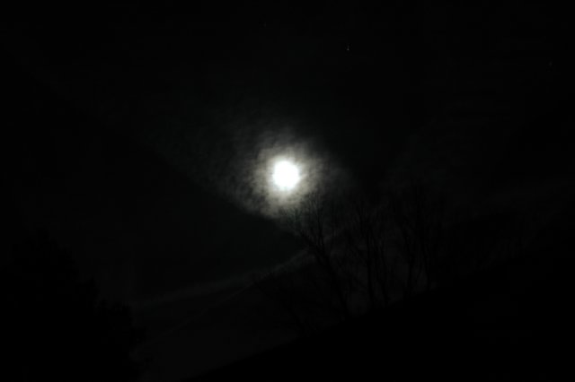 tn04-moon2